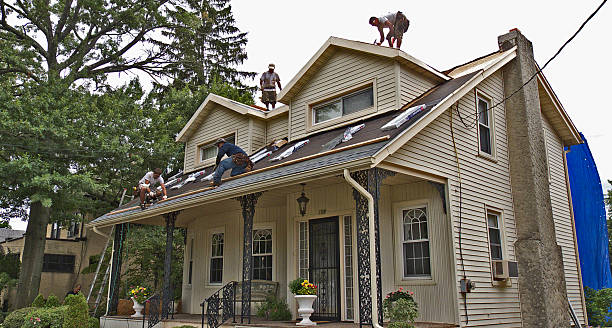 Best Roof Maintenance Services  in Ross, OH