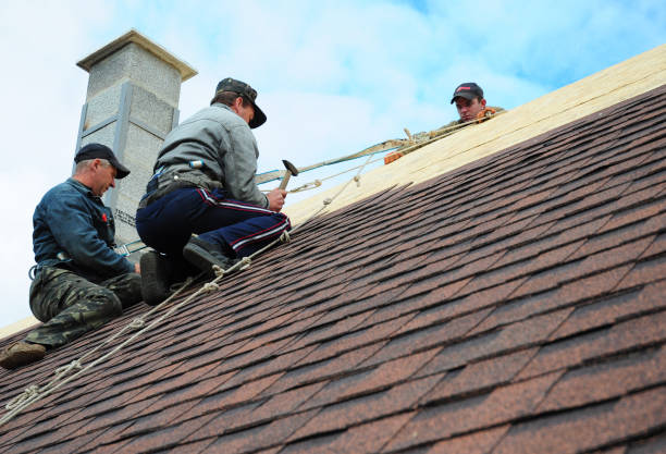Best Metal Roofing Contractor  in Ross, OH